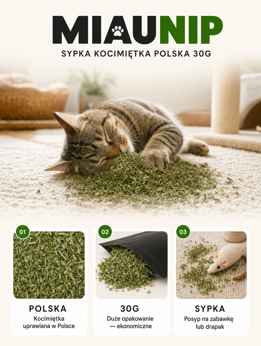 Miaunip - sypka kocimiętka polska 30g | Nekoro